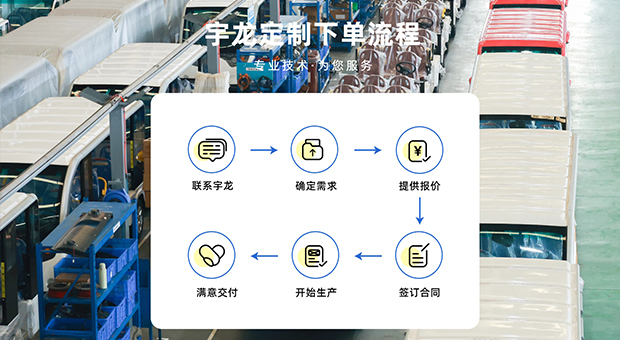 新能源观光车 新能源观光车